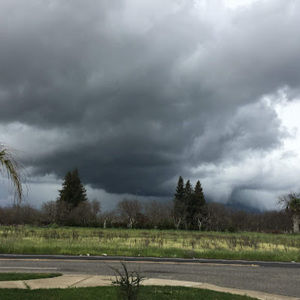 Meet your Posher, Tony